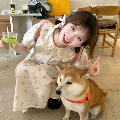 总统的蛋糕