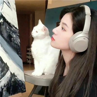 喀布尔的燕子